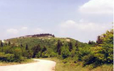 Spruce Knob